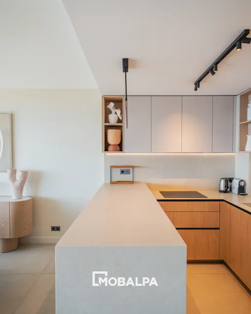 Mobalpa — Équipe & réalisations — Cuisine à Super Cannes — photographie 2