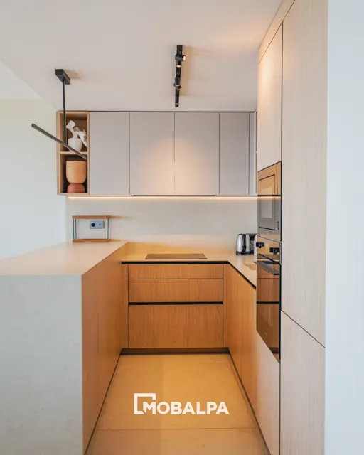 Mobalpa — Équipe & réalisations — Cuisine à Super Cannes — photographie 4